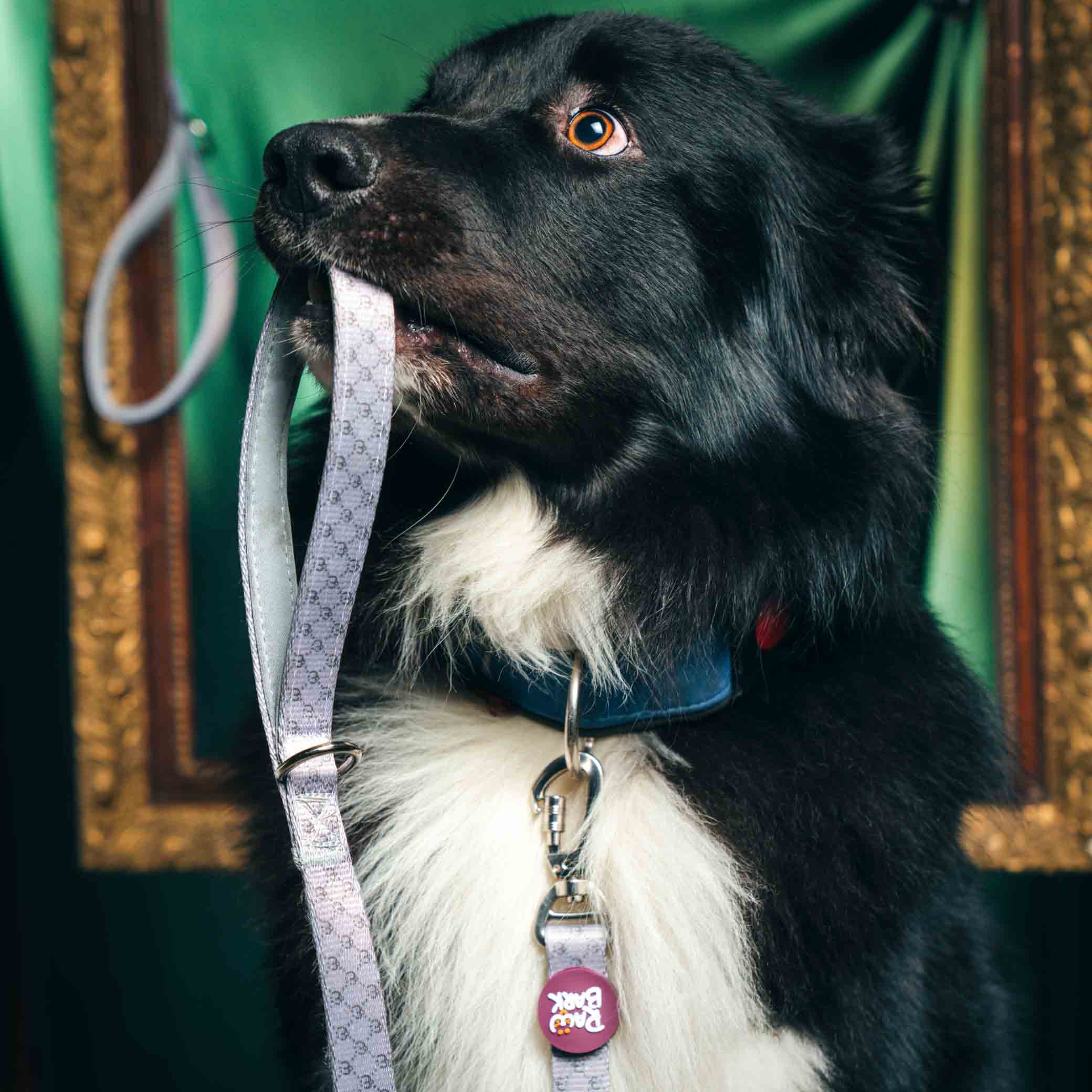 VODÍTKO RawBark - Image 4