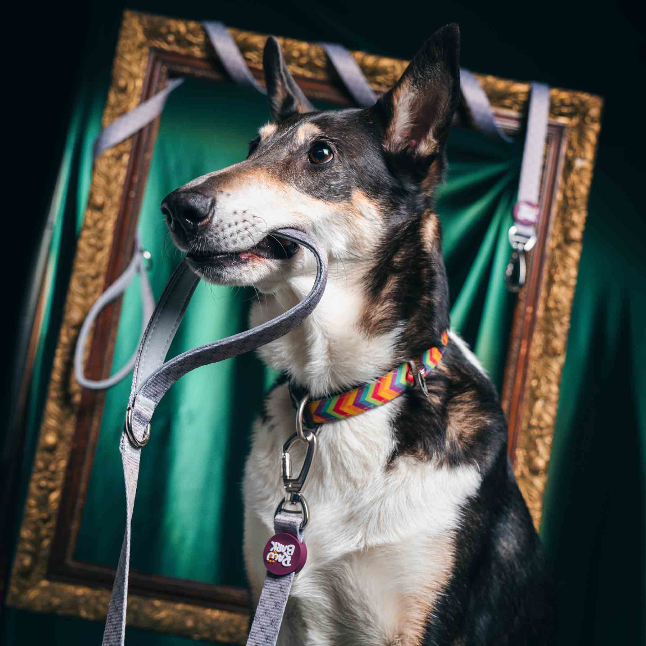 VODÍTKO RawBark - Image 2