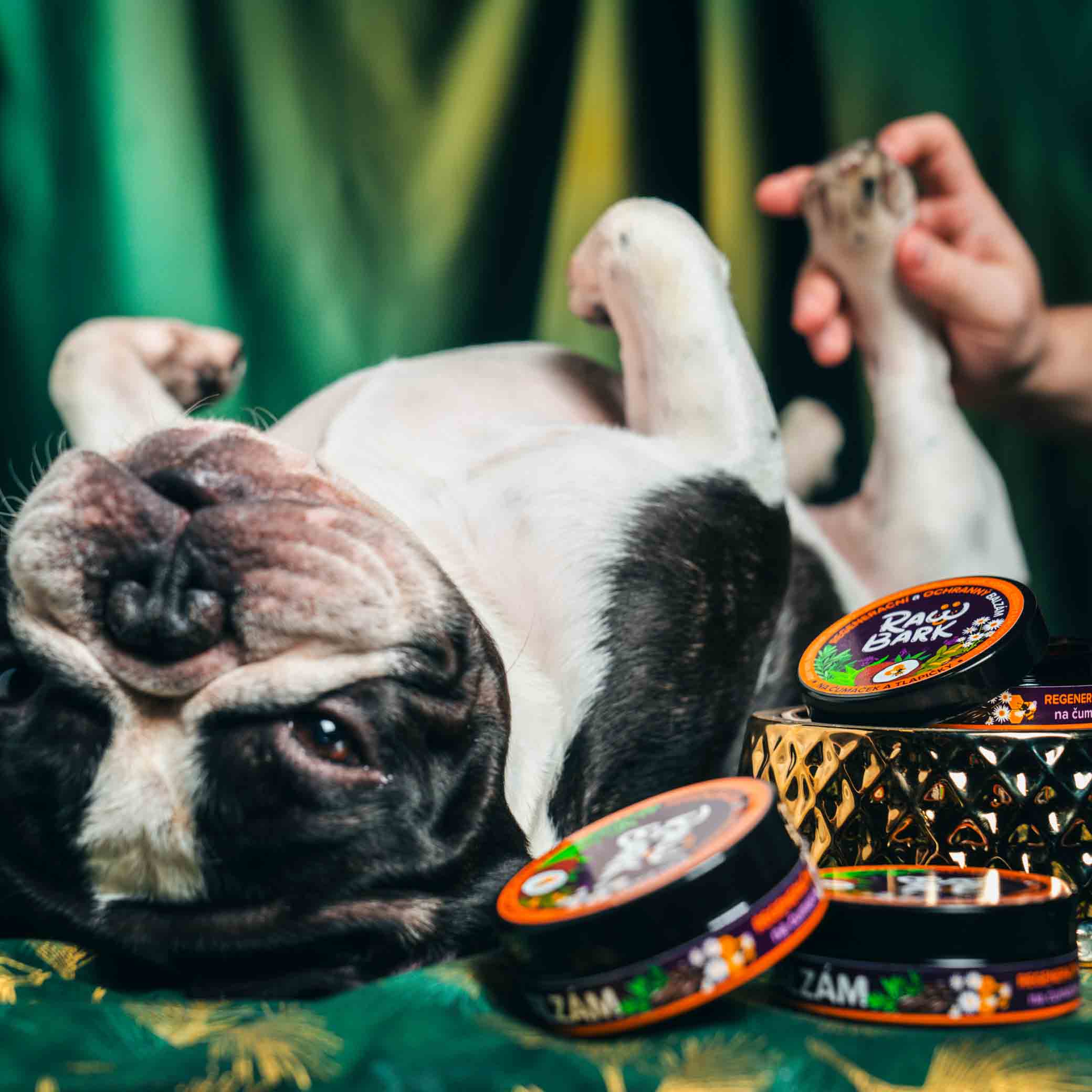 Balzám na čumáček a tlapičky - Image 4