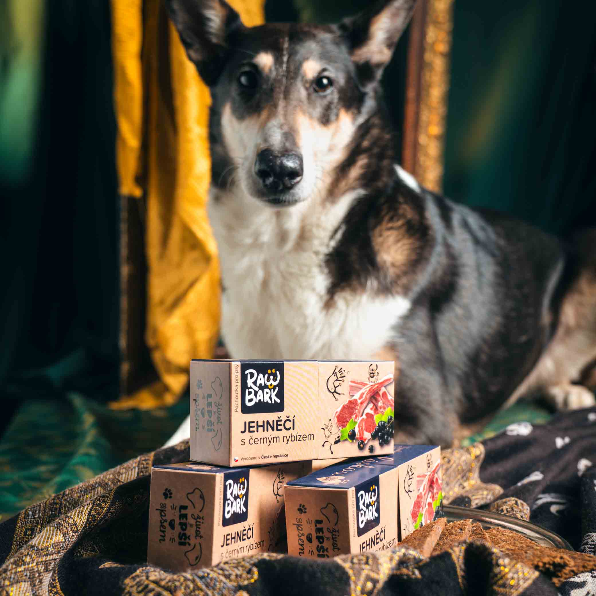 Jehněčí s černým rybízem - Image 4