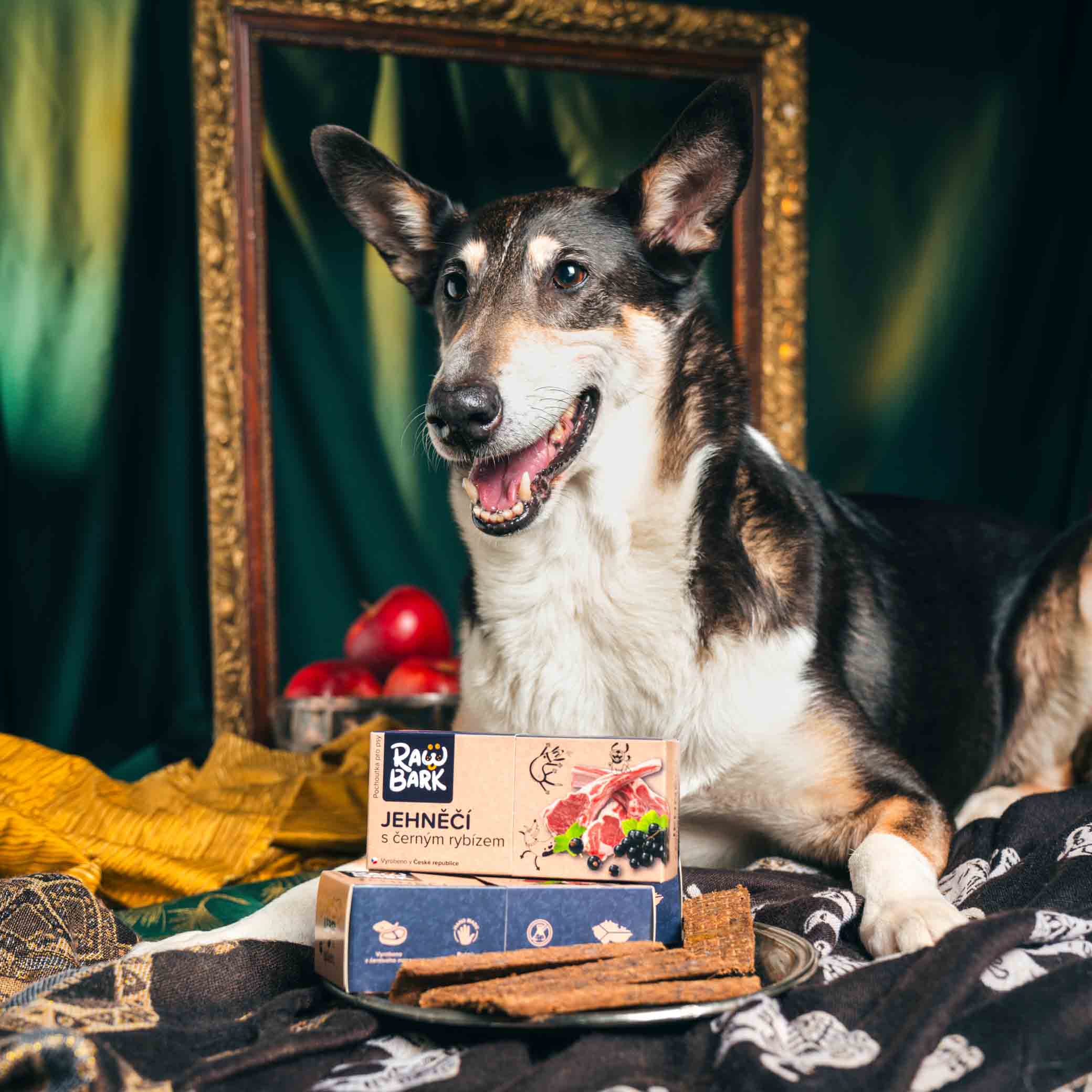 Jehněčí s černým rybízem - Image 2